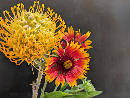 Beautiful bouquet of yellow and red flowers on a black background