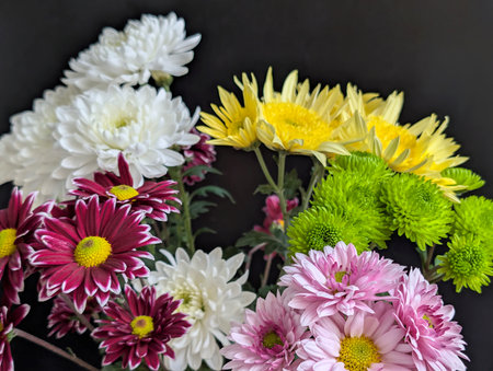 Bouquet of colorful chrysanthemums on black backgroundの写真素材