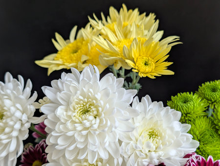 White chrysanthemum bouquet on black background with copy spaceの写真素材