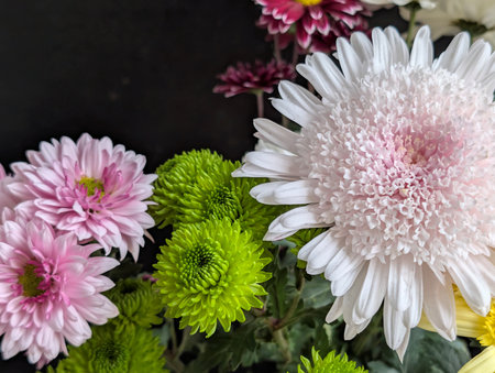 chrysanthemum flower bouquet on black background, top viewの写真素材