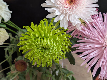 Chrysanthemum flowers in the vase, stock photoの写真素材