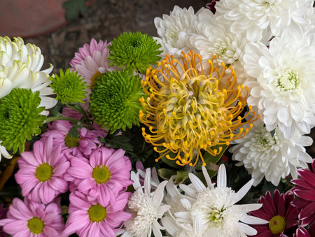 Bouquet of chrysanthemums and pincushions
