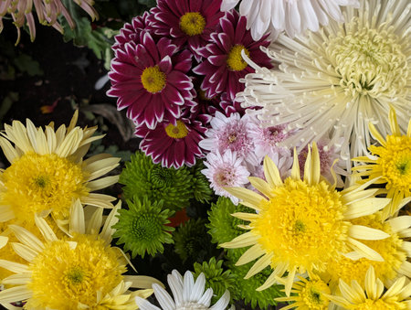 colorful chrysanthemum flowers in a mixed bouquet