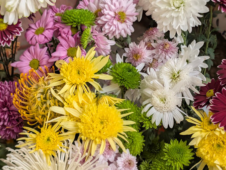Colorful chrysanthemums in a bouquet as a backgroundの写真素材