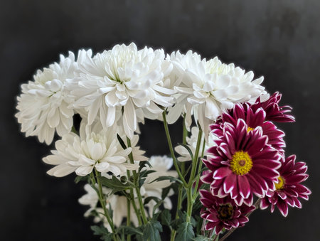 White and red chrysanthemum bouquet on black backgroundの写真素材