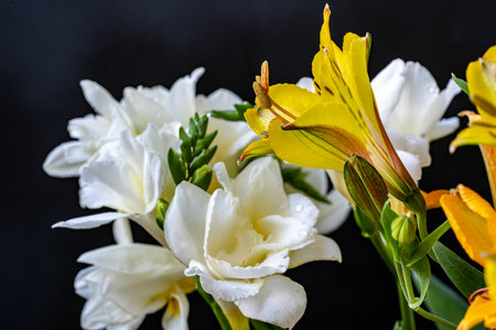 Bouquet of yellow and white lilies on a black backgroundの写真素材