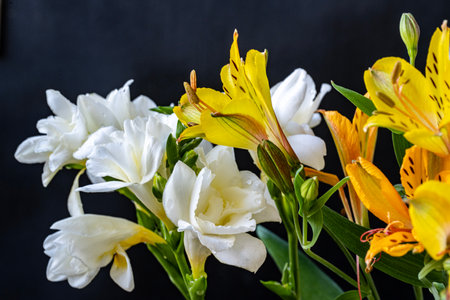 Bouquet of yellow and white lilies on a black backgroundの写真素材