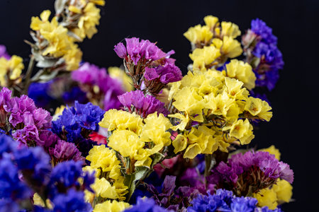 Bouquet of purple and yellow statice flowers isolated on black backgroundの写真素材
