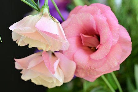 Beautiful bouquet of flowers, close-up