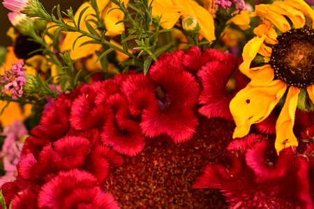 Beautiful bouquet of flowers close-up. Bright background.の写真素材