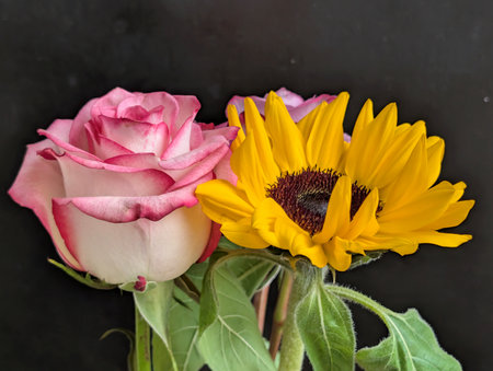 Bouquet of two roses and a sunflower on a black backgroundの写真素材