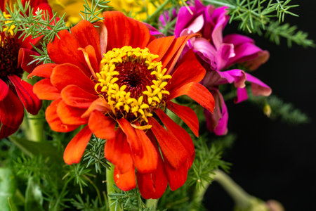 Bouquet of colorful flowers in vase on black background.