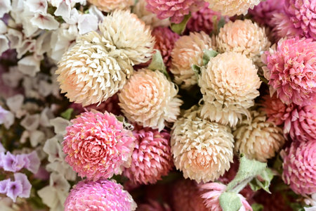 beautiful flowers background, closeup of colorful flowers, nature background