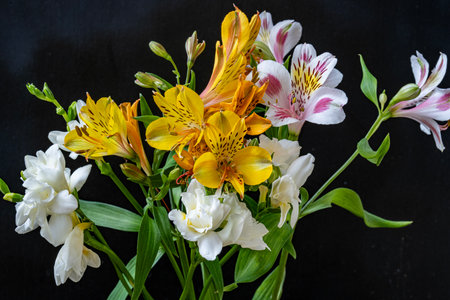 Bouquet of Alstroemeria flowers on a black background