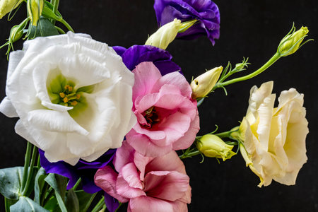 Beautiful bouquet of eustoma flowers on a black backgroundの写真素材