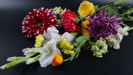 Colorful flowers in the winter seasonの写真素材