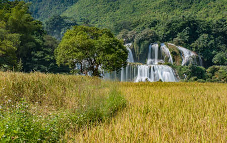 Waterfall - Detian waterfall
