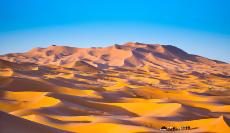 Sand dunes in Merzouga, Sahara desert, Moroccoの写真素材