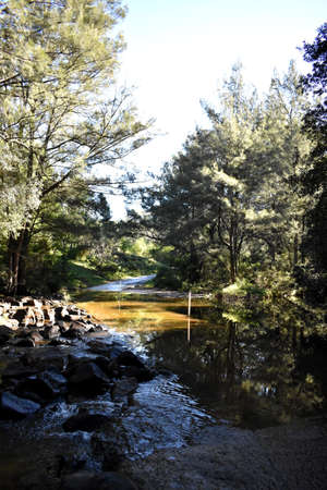 Australian Landscape