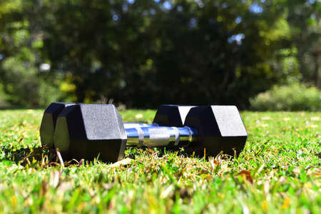 Dumbbells on Grassの写真素材