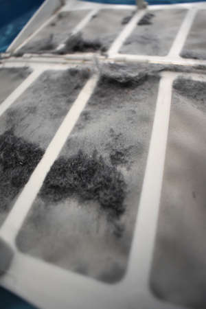 Dryer Lintの写真素材