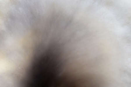 A close up of the top of a mushroom, blurredの写真素材