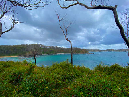 A beach two years after the devistating Australian bushfires. Only the ocean stopped the fire.の写真素材