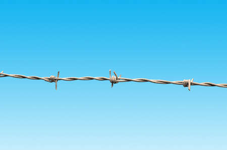 Barb Wire