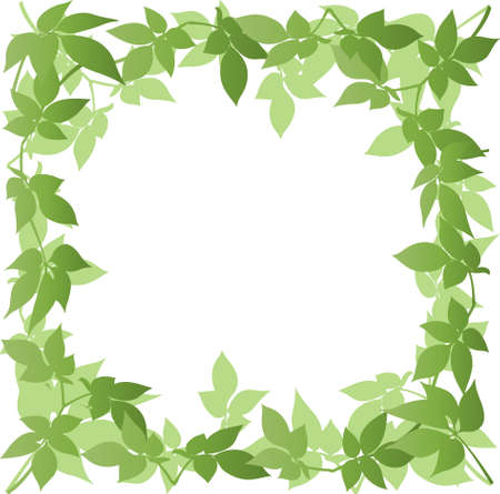 A border of leavesのイラスト素材
