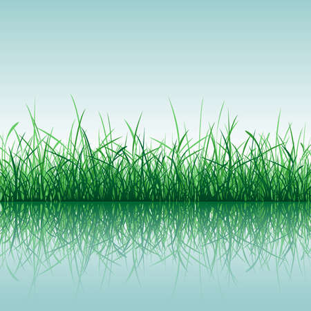 Grass with reflection in waterのイラスト素材