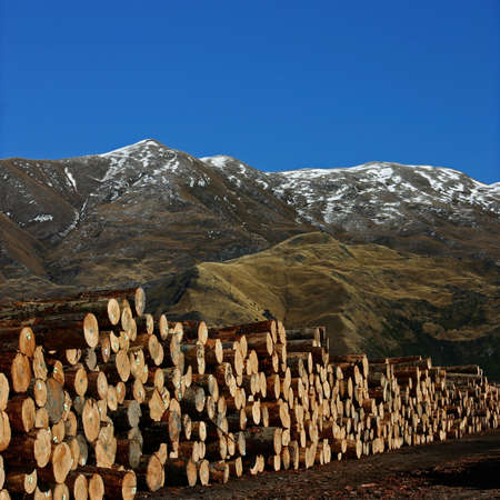 A Pile of Lumber with Mountainsの写真素材