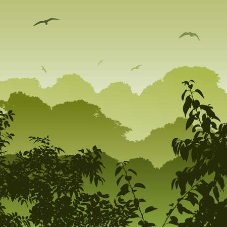 A Green Forest Landscape with Treesのイラスト素材