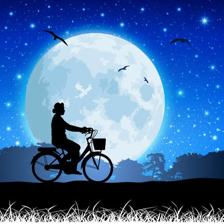 A Vector Landscape with Bicycle and Moonのイラスト素材
