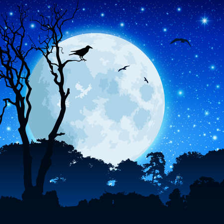 A Forest Landscape with Moon and Night Skyのイラスト素材