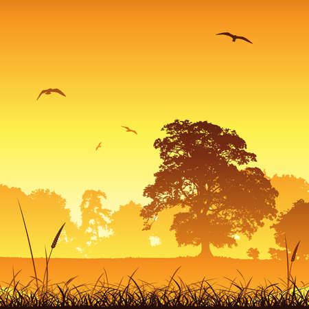 A Country Meadow Landscape with Trees and Birdsのイラスト素材