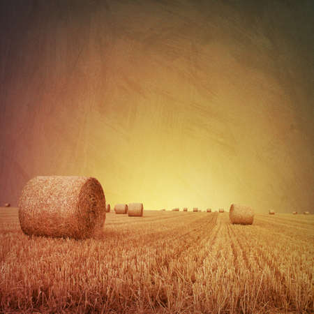 An Artistic Vintage Photo Grunge Landscape with Straw Bales on Farmlandの写真素材