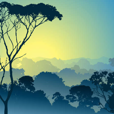 A Forest Landscape with Treesのイラスト素材