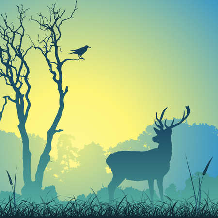 Male Stag Deer on a Meadow with Trees and Birdのイラスト素材