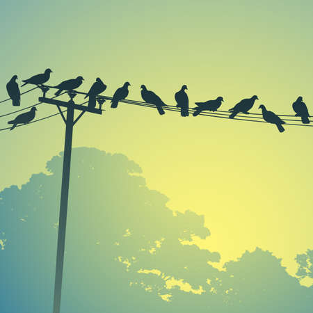 Lots of Birds on Telephone Linesのイラスト素材