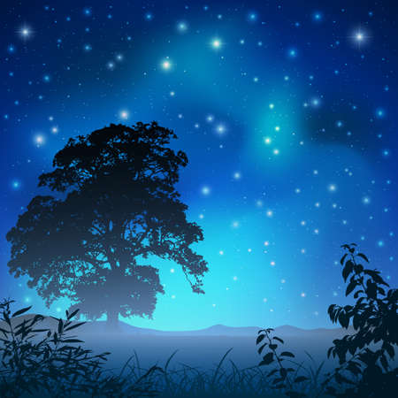A Night Sky with Big Tree and Stars のイラスト素材