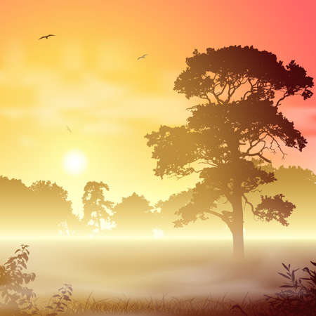 A Misty Forest Landscape with Trees and Sunset, Sunriseのイラスト素材
