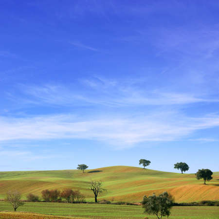 A Country Landscape with Fields and Blue Skyの写真素材