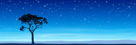 Lone Tree in Silhouette with Night Sky and Stars 