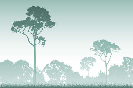 A Misty Forest Landscape with Treesのイラスト素材