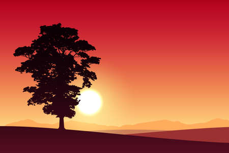 A Lone Tree with Red Sunset, Sunrise.のイラスト素材