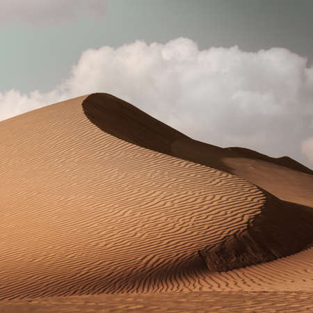 sand dunes carved by Mother Natureの写真素材
