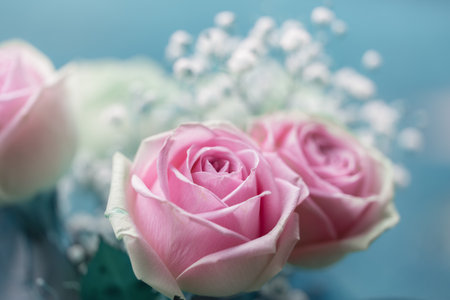 Beautiful bouquet of pink and white roses against a soft blue  and white backgroundの写真素材
