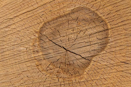 Wood background or backdrop from an old cut down trunk of a pine tree, with cracks and year ringsの写真素材