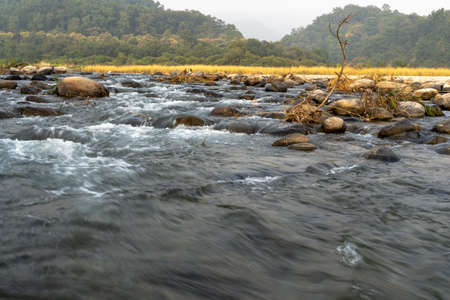 Shot of River Kosi running through the forest of the Jim Corbett national reserve