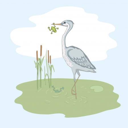 Gray heron and frog on the green morass のイラスト素材